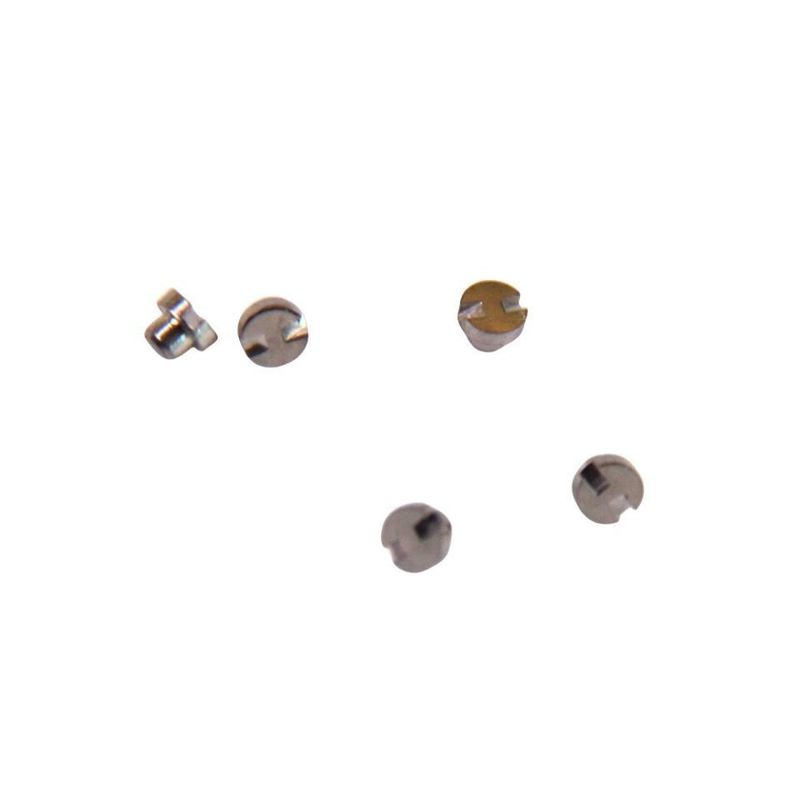 Relógio Acessórios Lugs de aço inoxidável Hardware de precisão Torno automático Acessórios Cinturão Conector